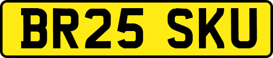 BR25SKU