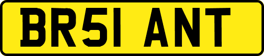 BR51ANT