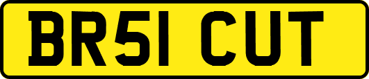 BR51CUT
