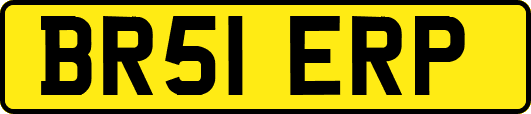 BR51ERP