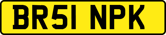 BR51NPK