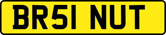 BR51NUT