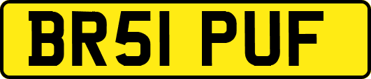 BR51PUF