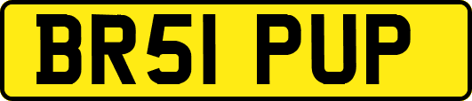 BR51PUP