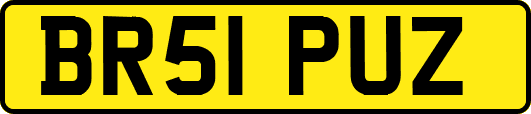 BR51PUZ