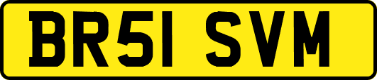 BR51SVM