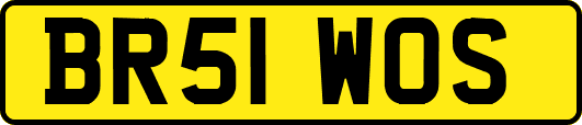 BR51WOS