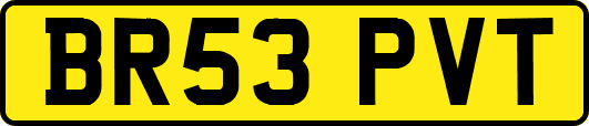 BR53PVT