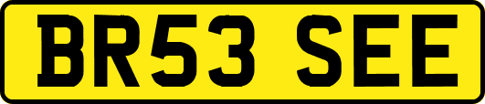 BR53SEE