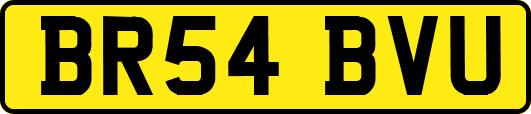BR54BVU