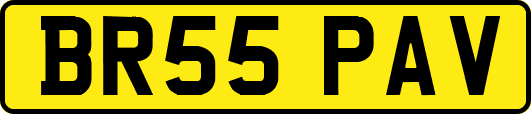 BR55PAV