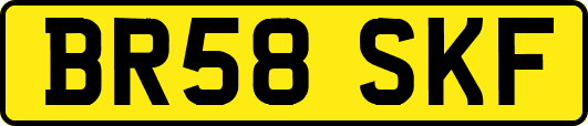 BR58SKF