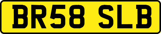 BR58SLB