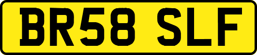 BR58SLF