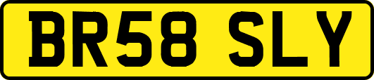 BR58SLY