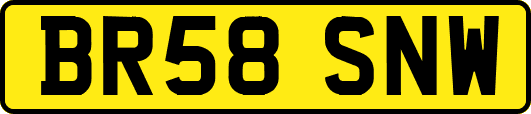 BR58SNW