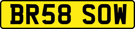 BR58SOW