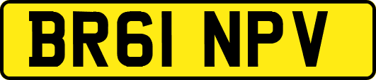 BR61NPV