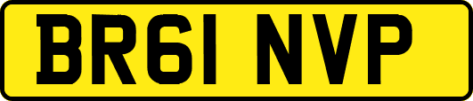 BR61NVP