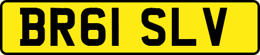 BR61SLV