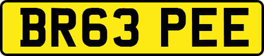 BR63PEE