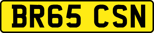 BR65CSN