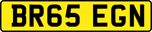 BR65EGN