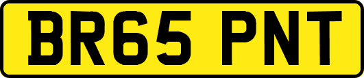 BR65PNT