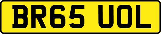 BR65UOL