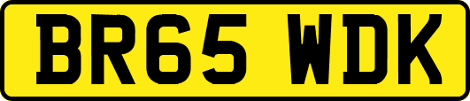 BR65WDK