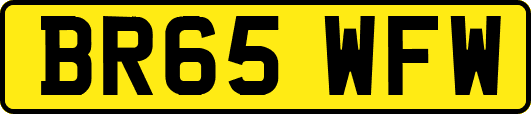 BR65WFW