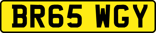 BR65WGY