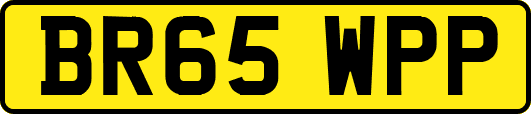 BR65WPP