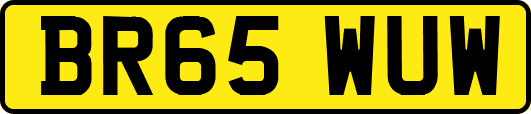 BR65WUW