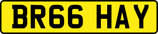 BR66HAY