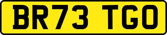 BR73TGO