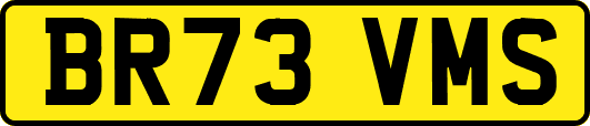BR73VMS