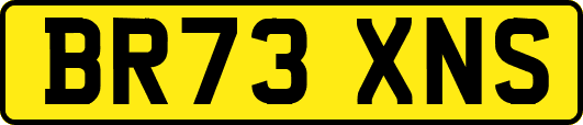 BR73XNS