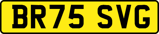 BR75SVG