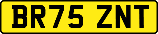 BR75ZNT
