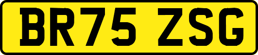 BR75ZSG