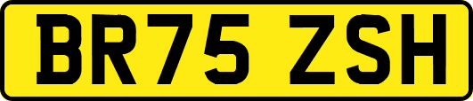BR75ZSH