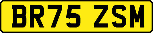 BR75ZSM
