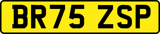 BR75ZSP