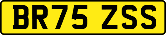 BR75ZSS
