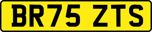 BR75ZTS