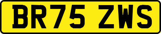 BR75ZWS