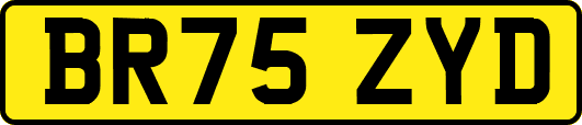 BR75ZYD