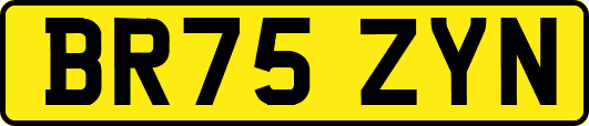 BR75ZYN