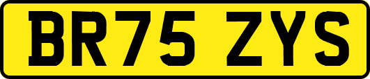 BR75ZYS